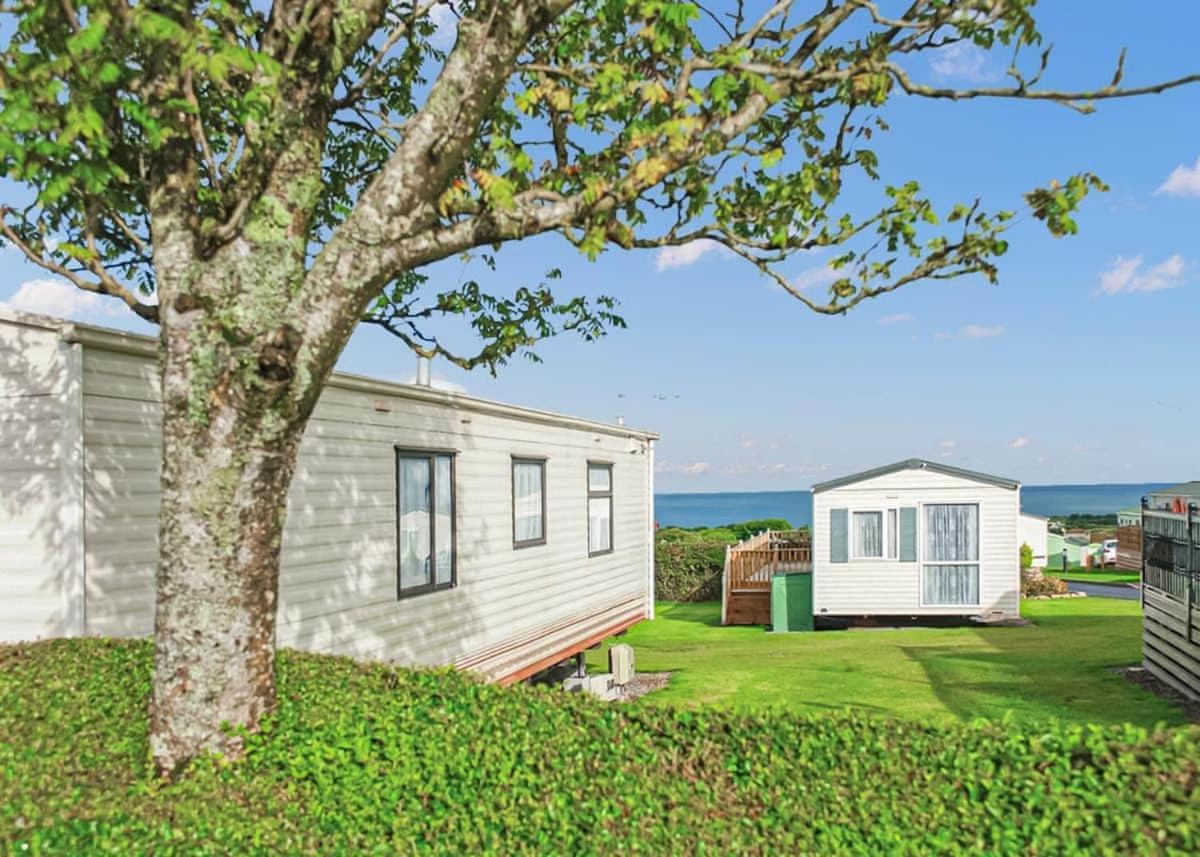 Ocean Heights Holiday Park New Quay  Buitenkant foto